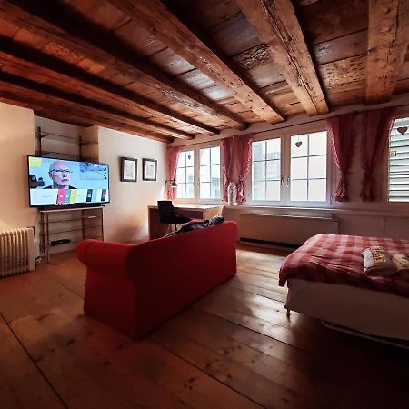 Swiss Chalet Style Zurich Extérieur photo